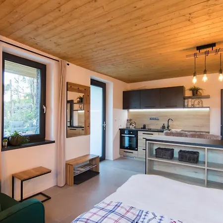 Βίλα New Chalet With Wellness - *