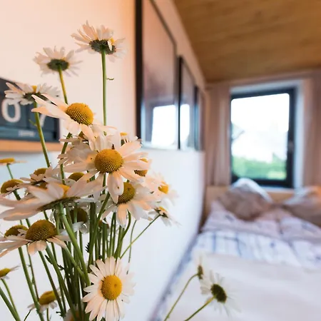New Chalet With Wellness - * Lipno nad Vltavou