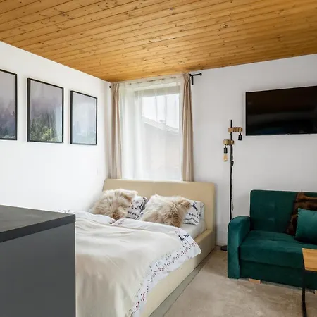 Villa New Chalet With Wellness -